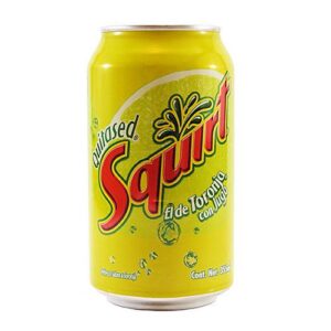 Squirt Grapefruit Can 24x355ml