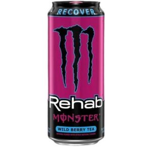 MONSTER REHAB WILDE BES 12 X 458 ML